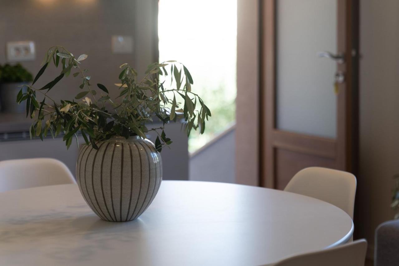 Apartments Alloro By Seeadria Agency Novigrad Istria Eksteriør billede